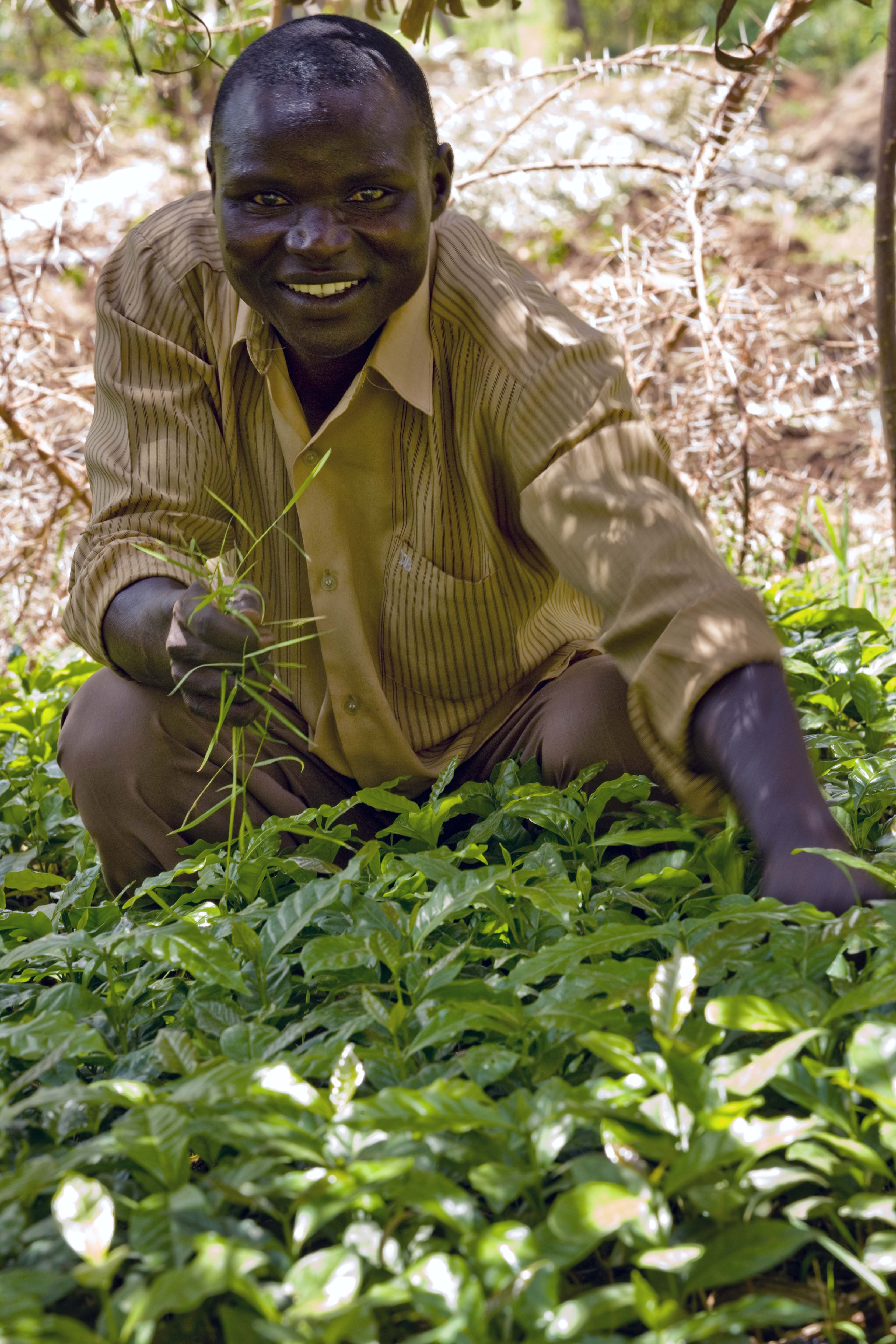 A man tends to his newly planted tree seedlings in a nursery in Arokwo Village, Kapchorwa,Uganda, on 11th March, 2009. (10662551583)