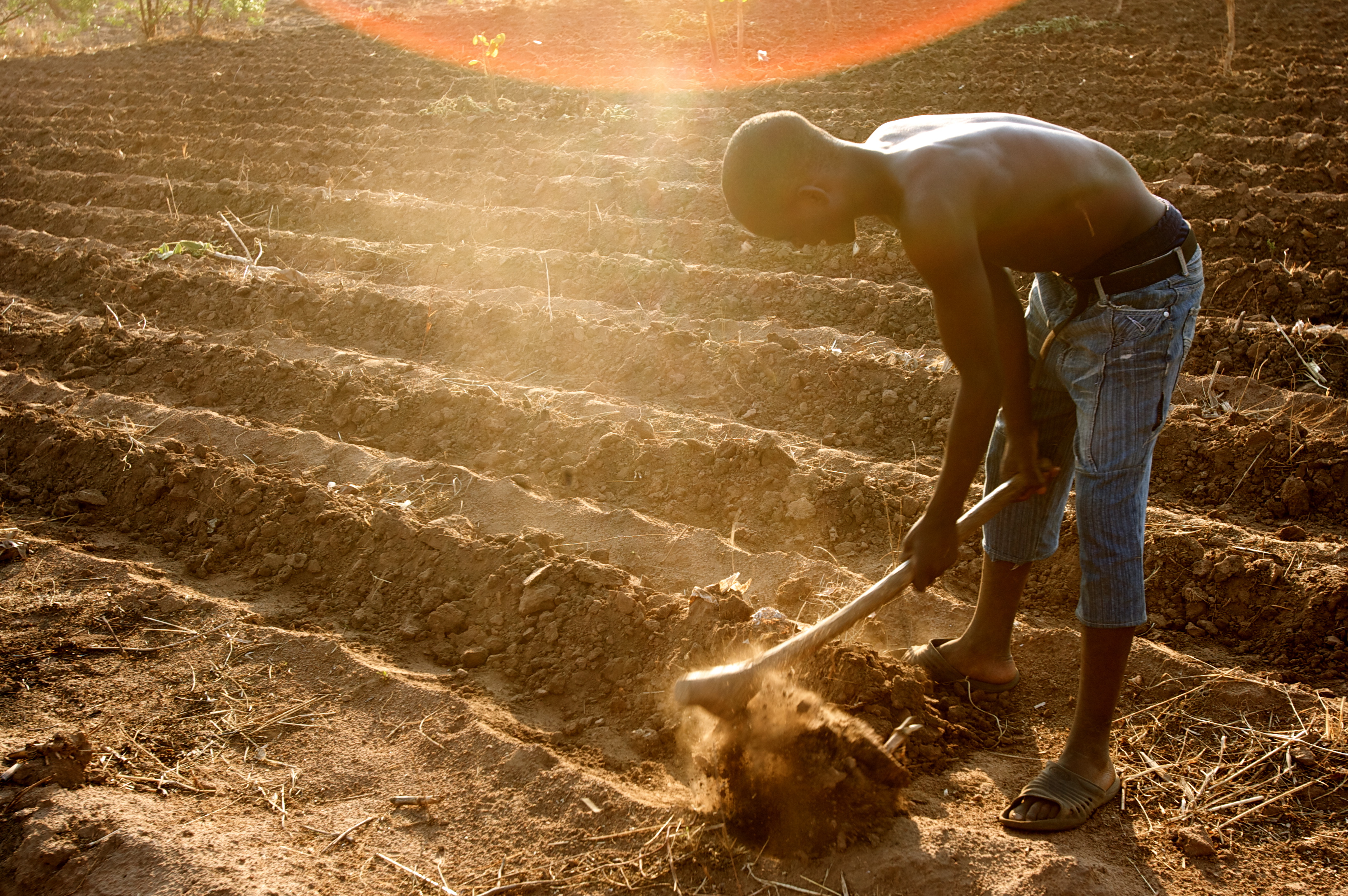 Africa Food Security 15 (10665294293)