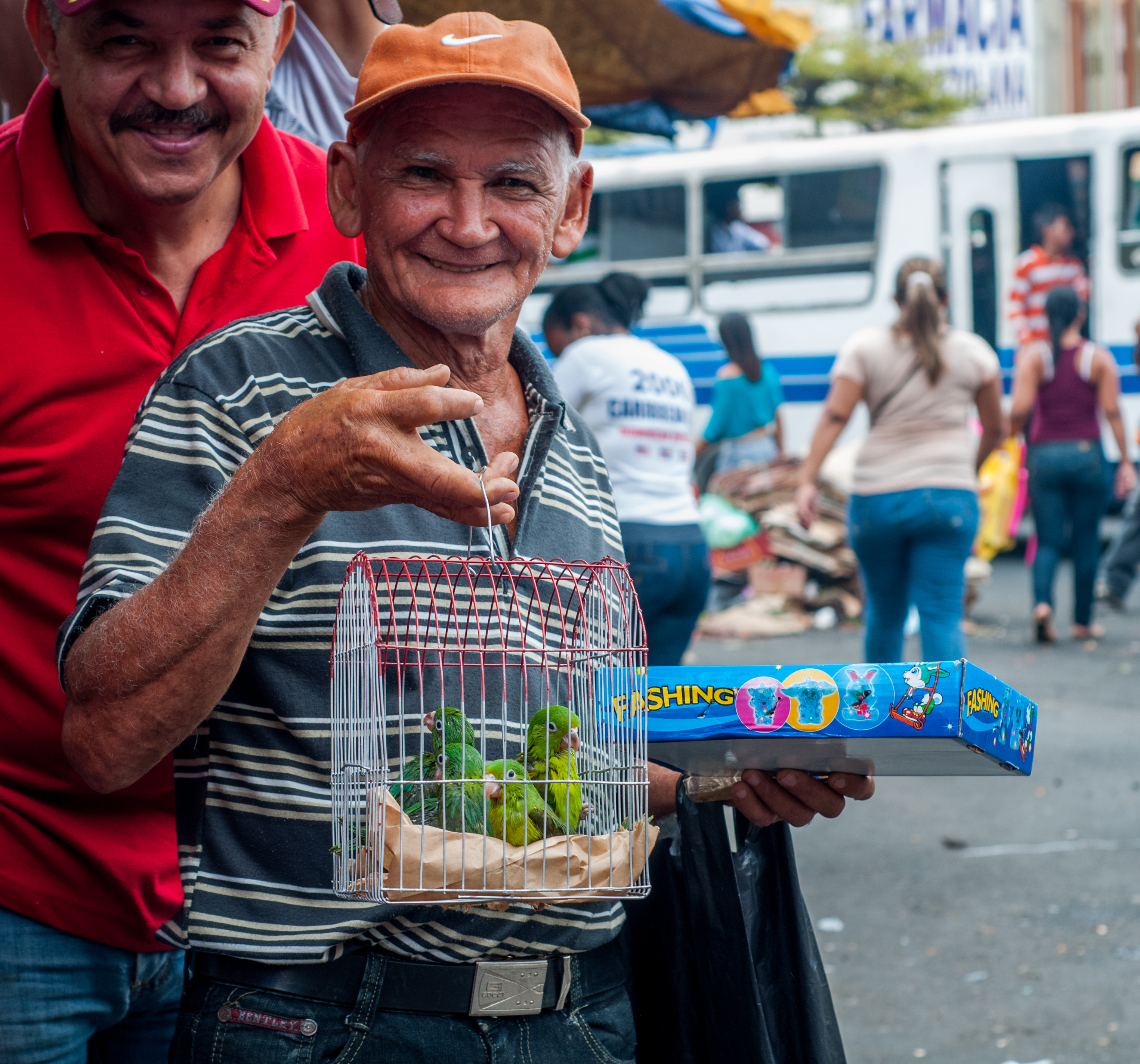 Ancient selling about parrots