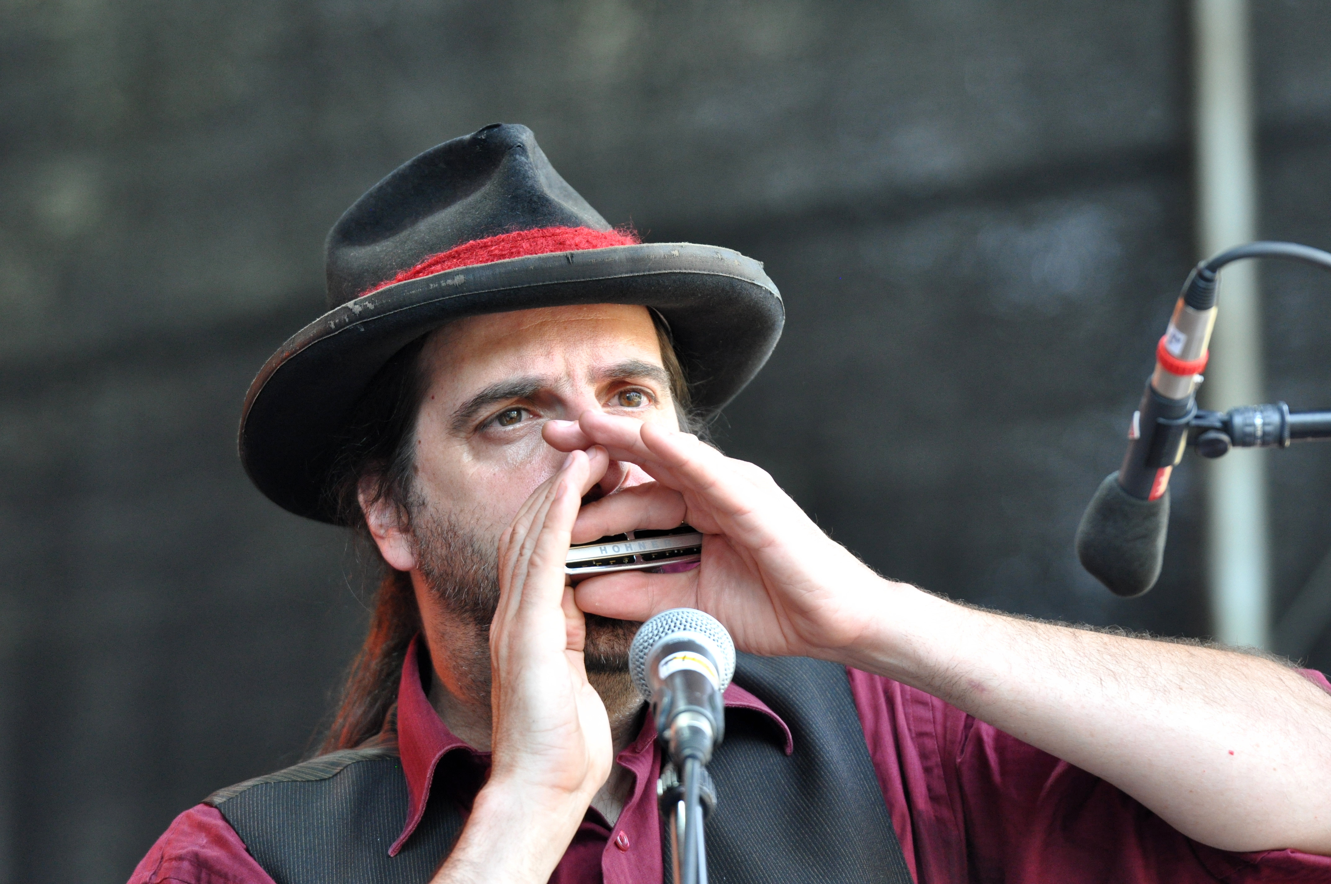Ballad of Crows Folk am Neckar 2610