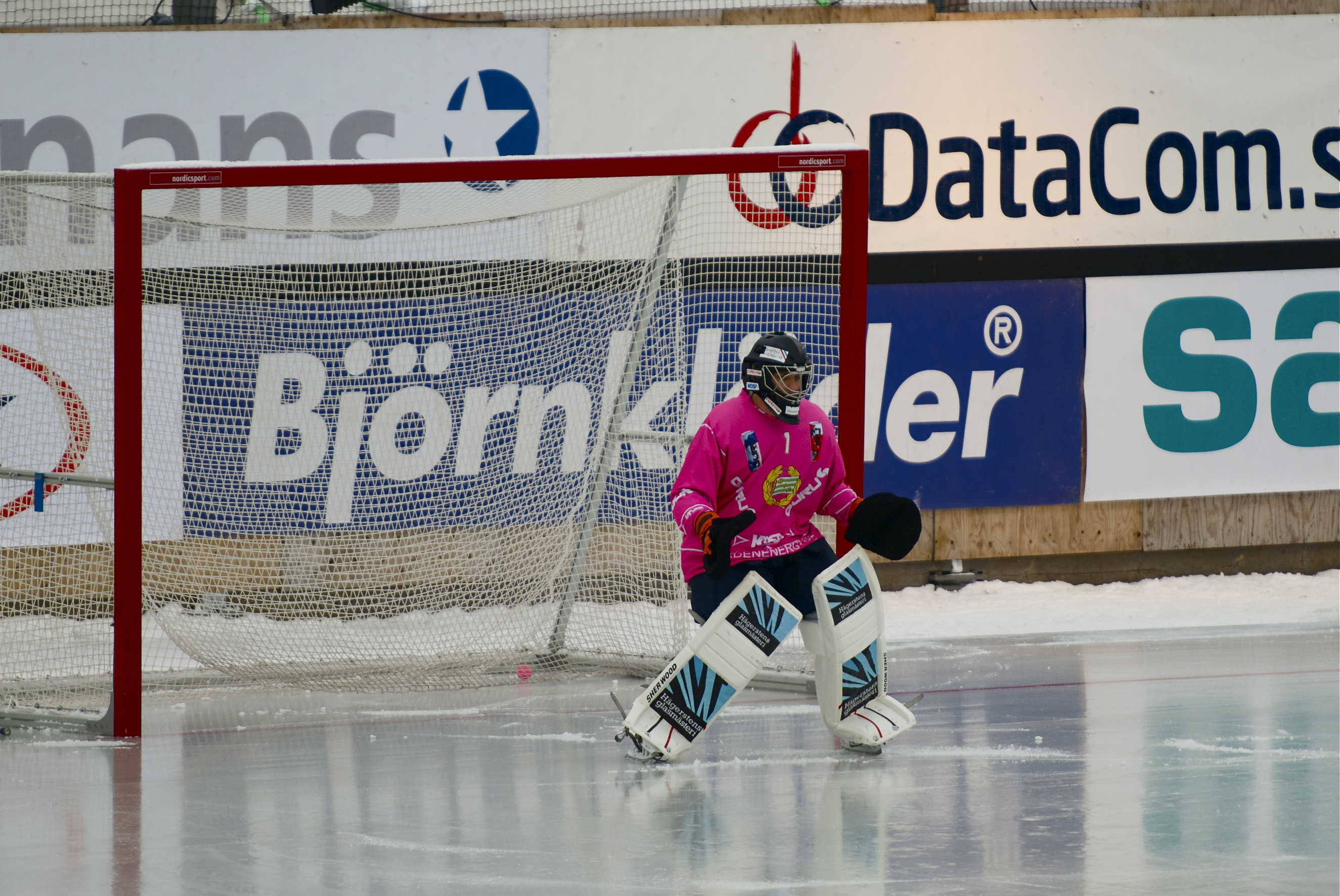 Emil Paulin Ström 2012a