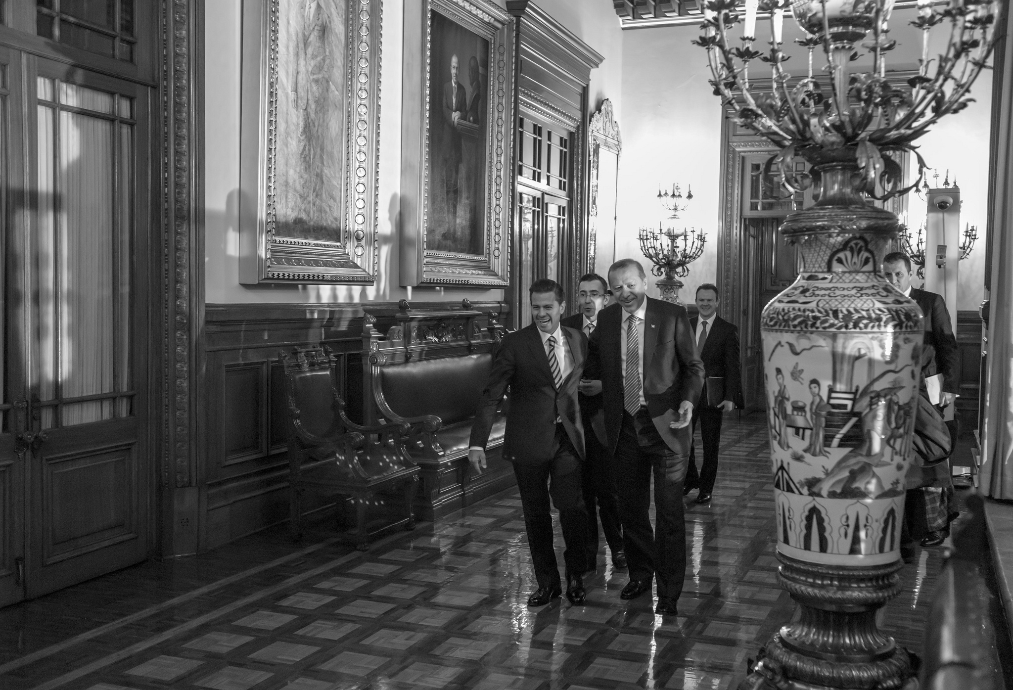 Erdogan-Peña