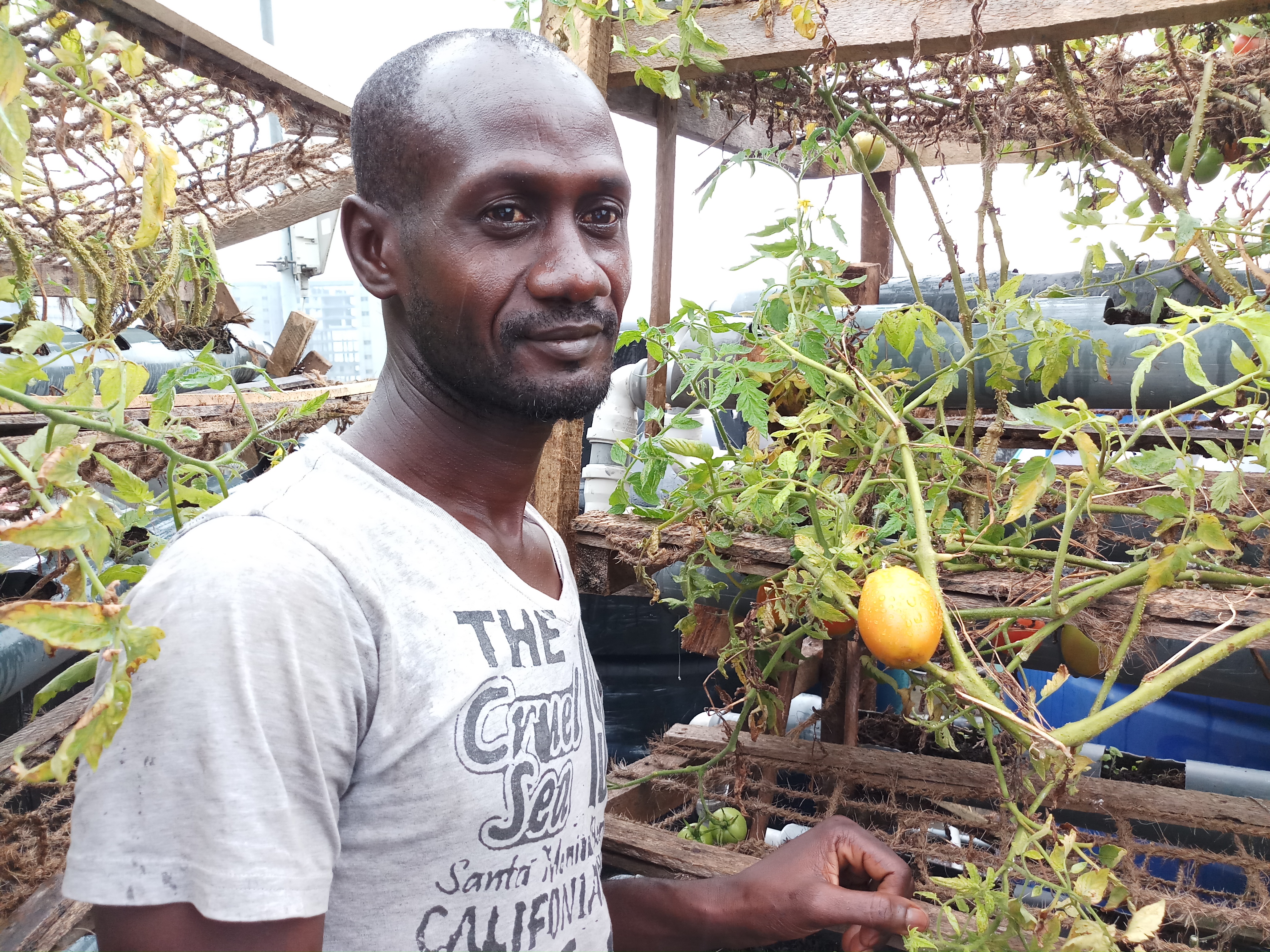 Farming at the Rooftop