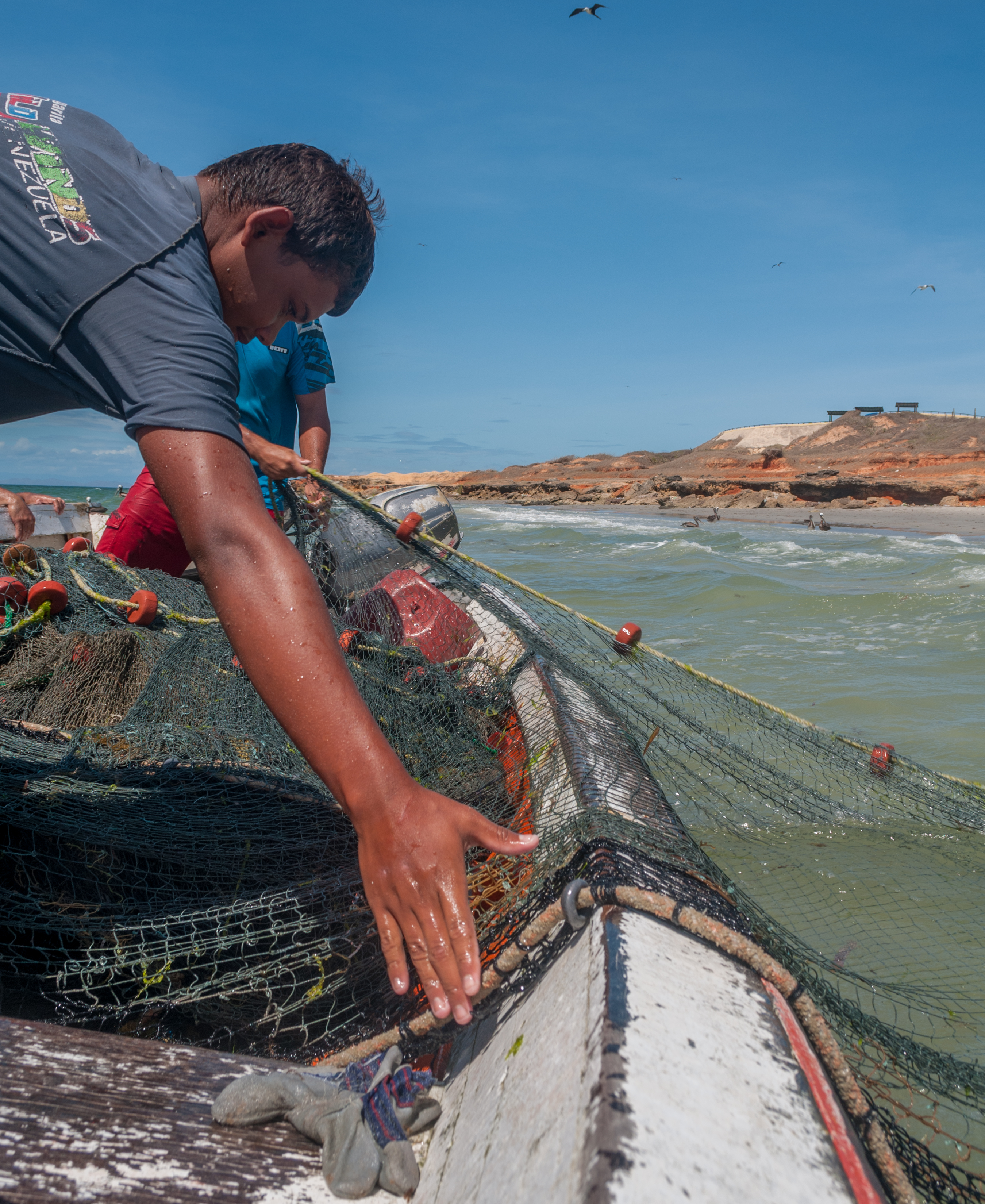 Fish in el Manglillo