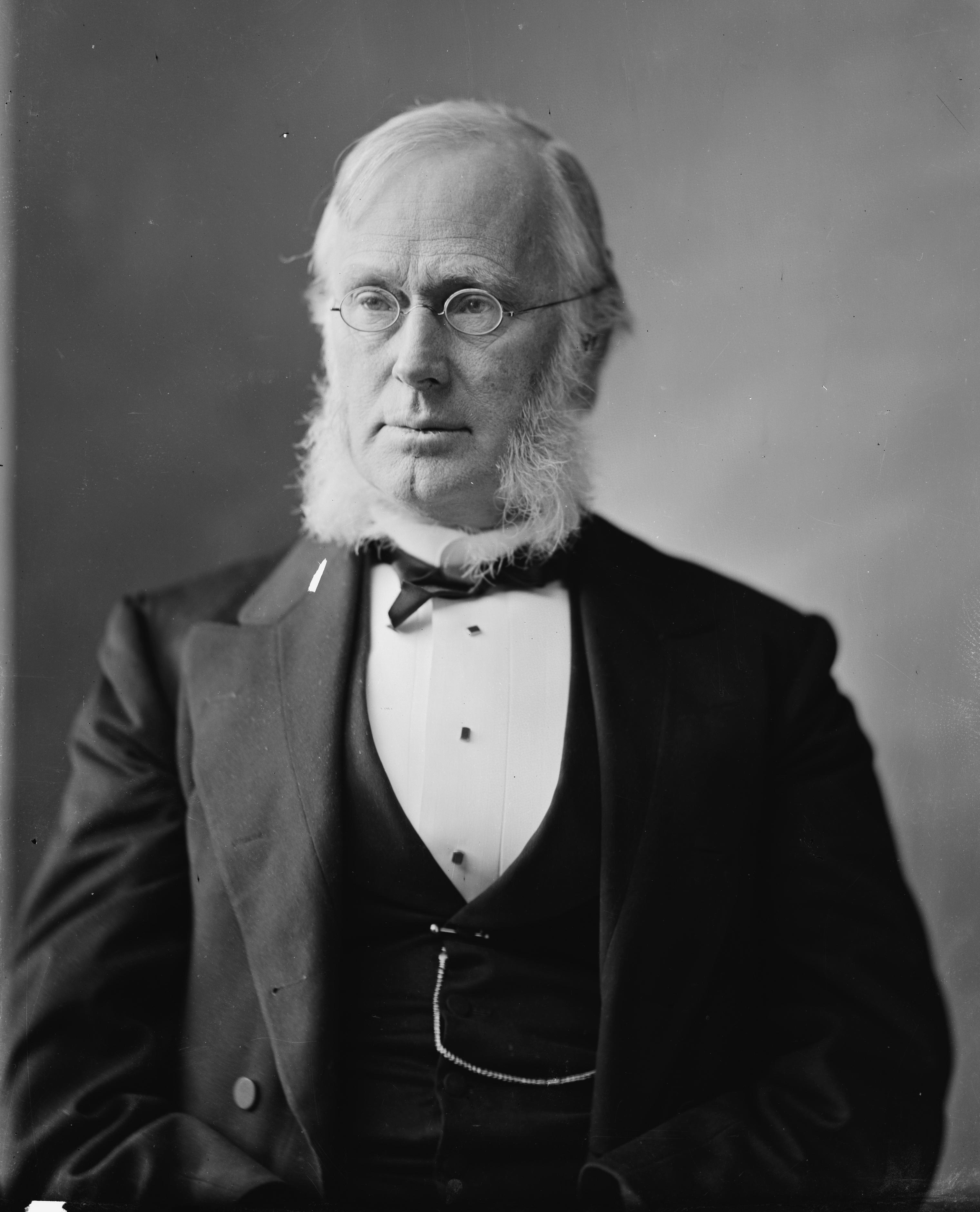 George Frisbie Hoar - Brady-Handy