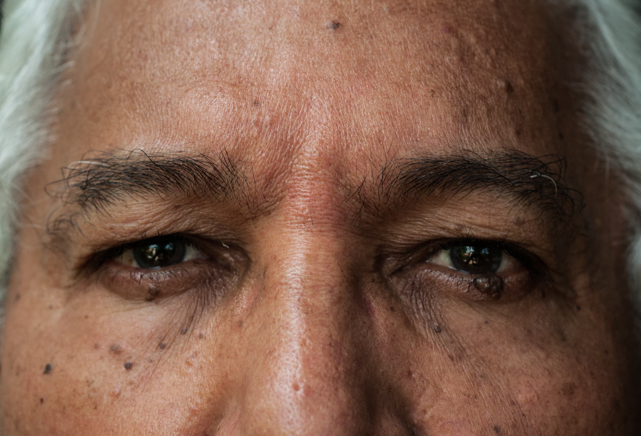 Grandfather eyes, Margarita Island