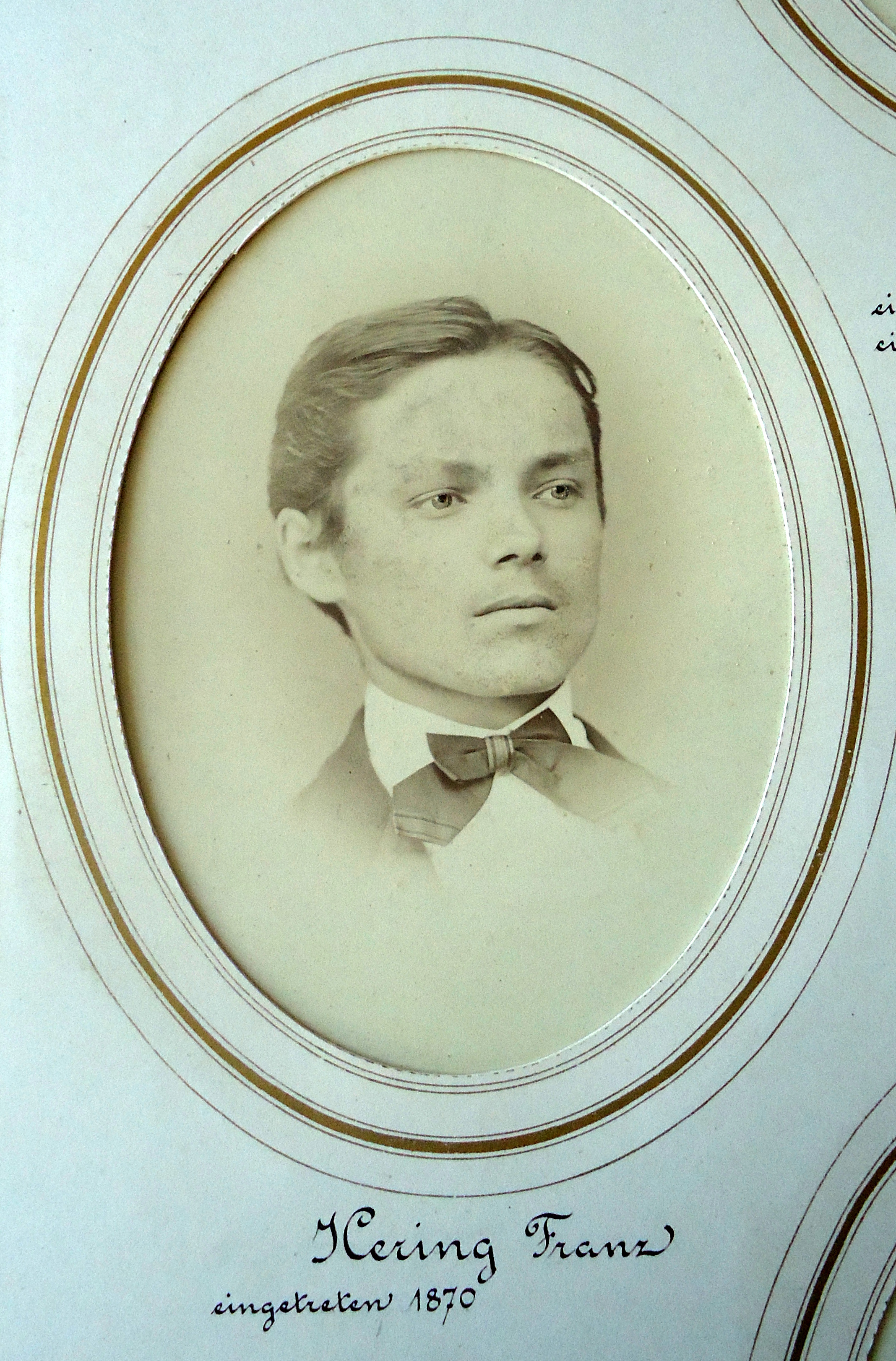 Hering 1870