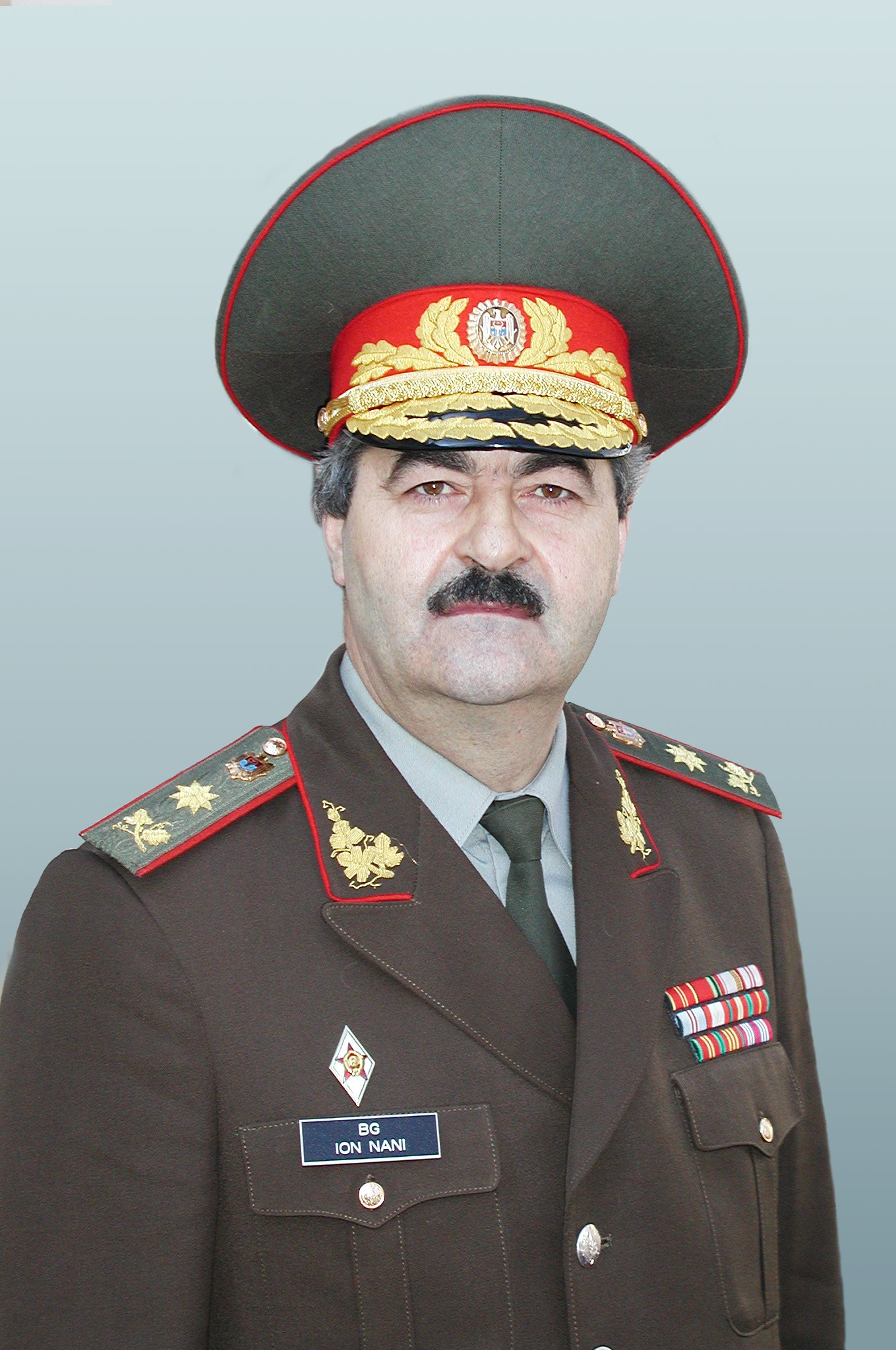 Ion Nanii