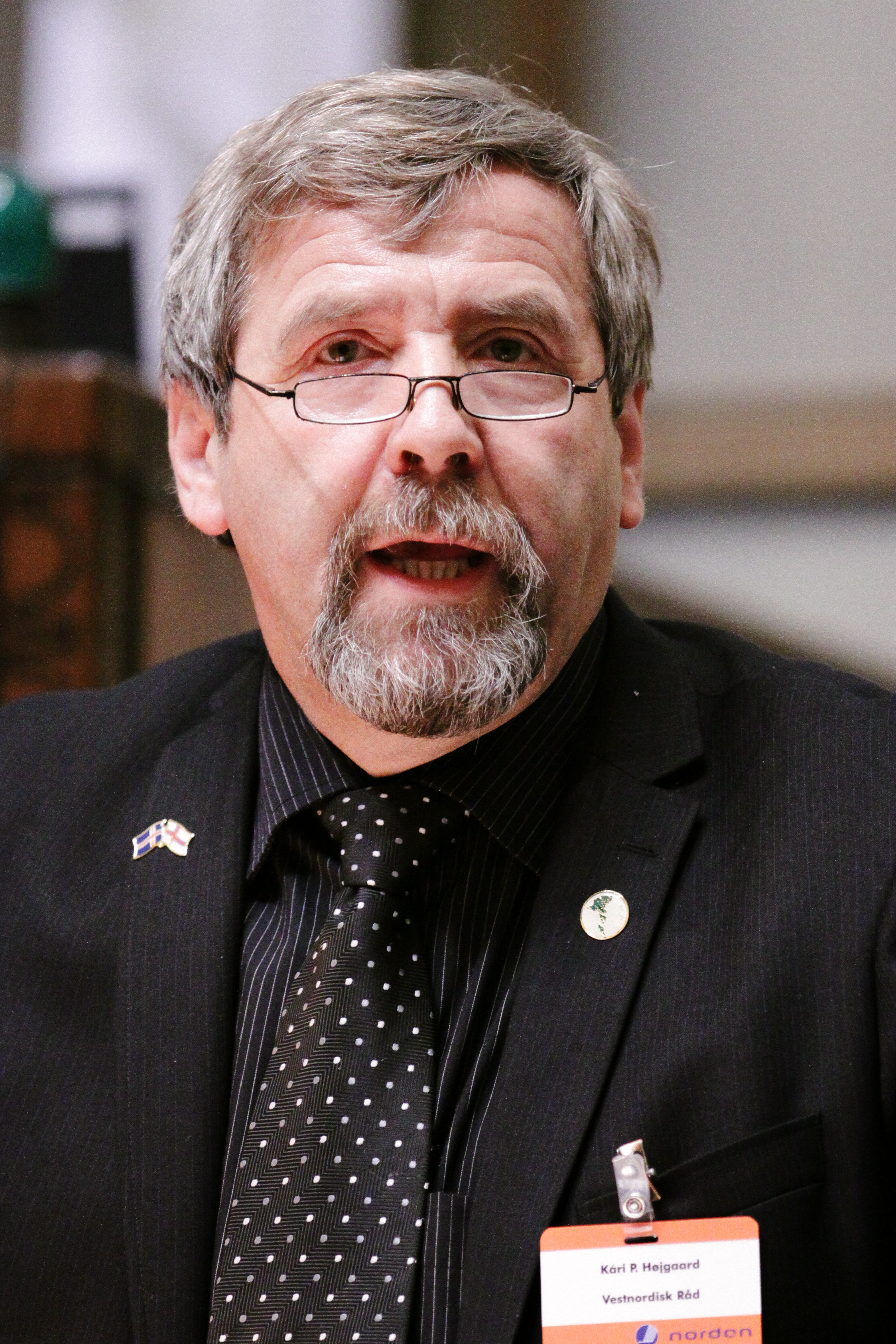 Kari P Hojgaard