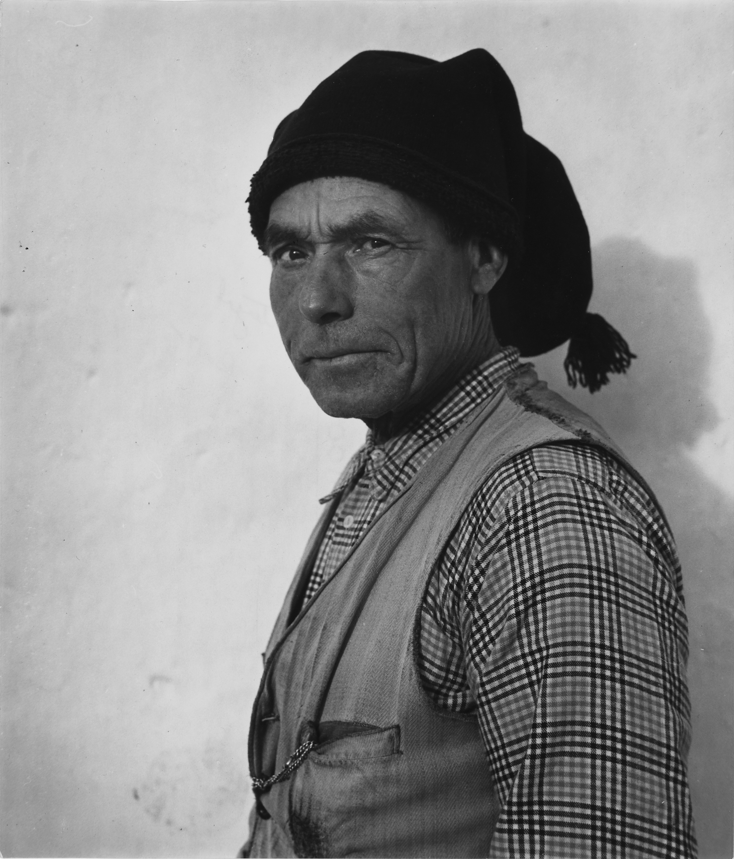 Lavrador de Gorro