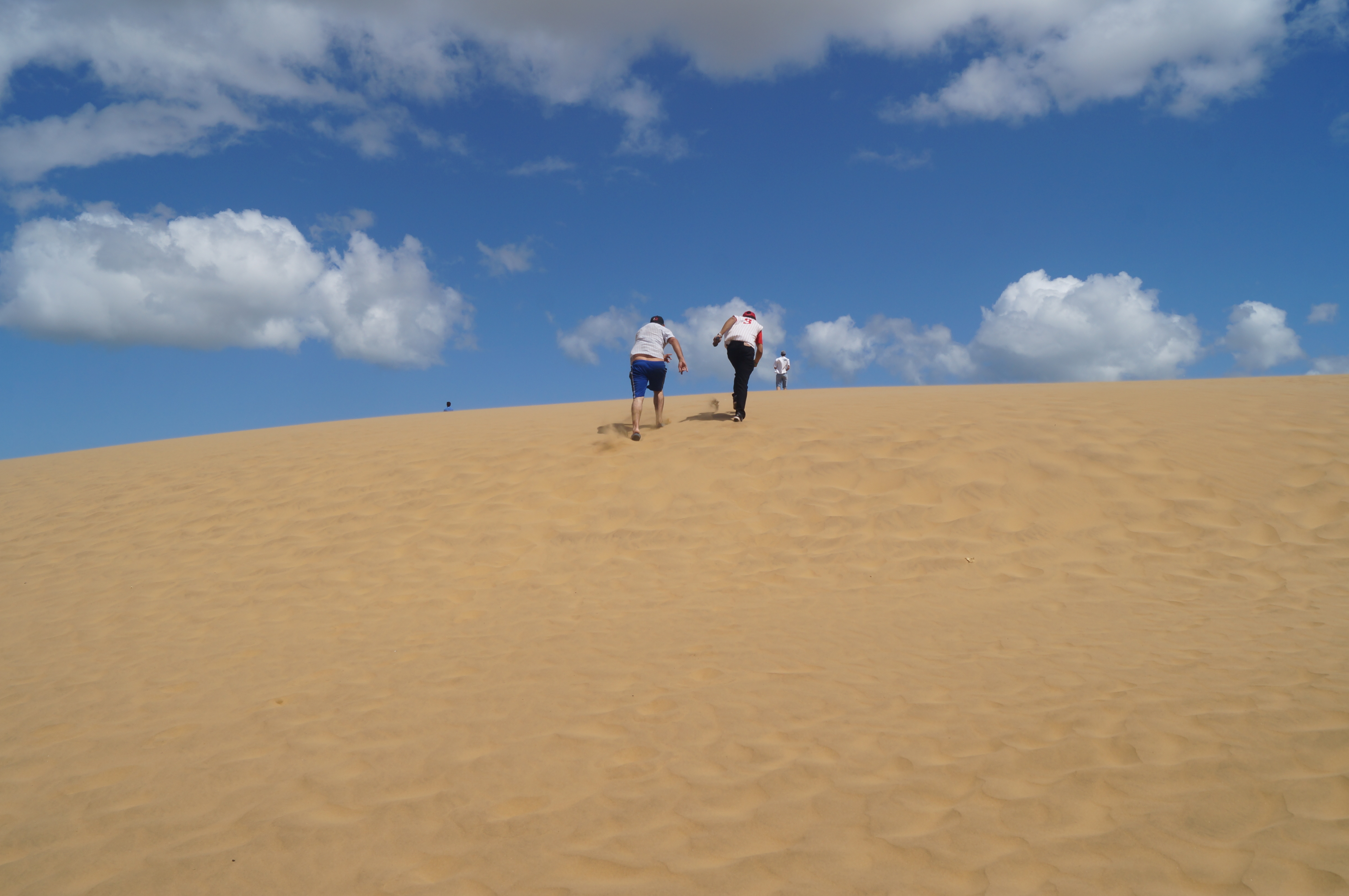 Medanos de Coro V