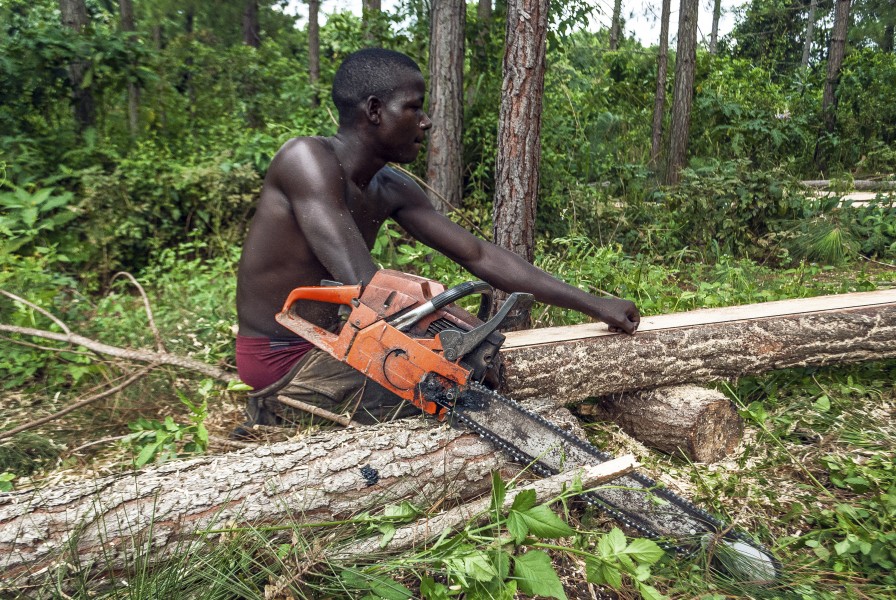A Lumberjack marking a log