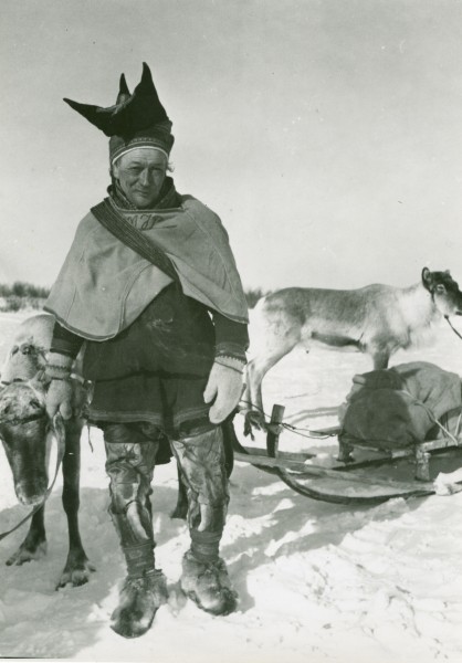A man with two reindeer, Winter, Finnmarksvidda.