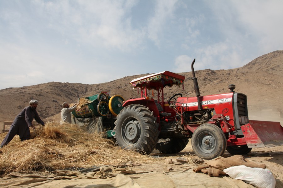 Afghan agricultural workers in 2009