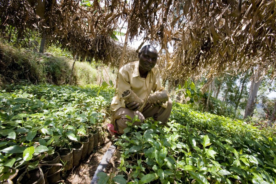 Africa Food Security 20 (10665337483)