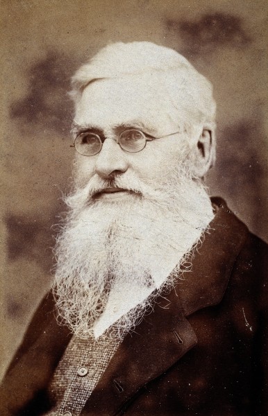 Alfred Russel Wallace. Photograph by Sims, 1889. Wellcome V0027305
