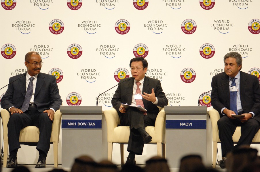 Amani Abeid Karume, Mah Bow Tan and Arif M. Naqvi at the World Economic Forum Global Redesign Summit 2010