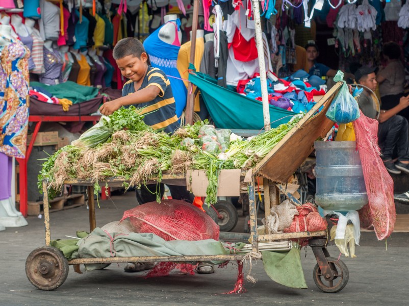 Child working selling vegetables in downtown Maracaibo