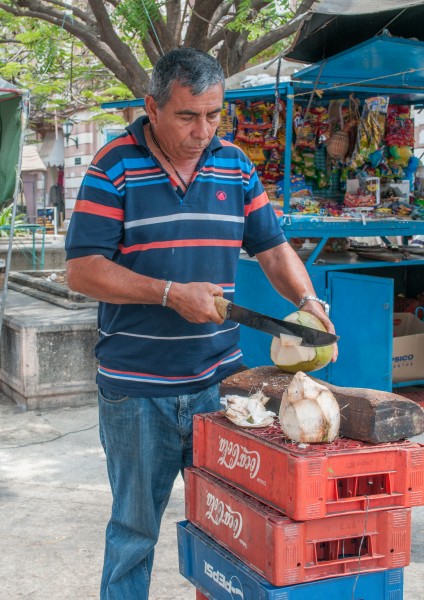 Coconut water vendor