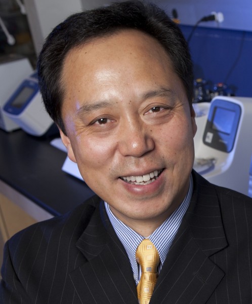 Dr. Wei Yan, Professor of Reproductive Biology and Medicine, University of Nevada School of Medicine.