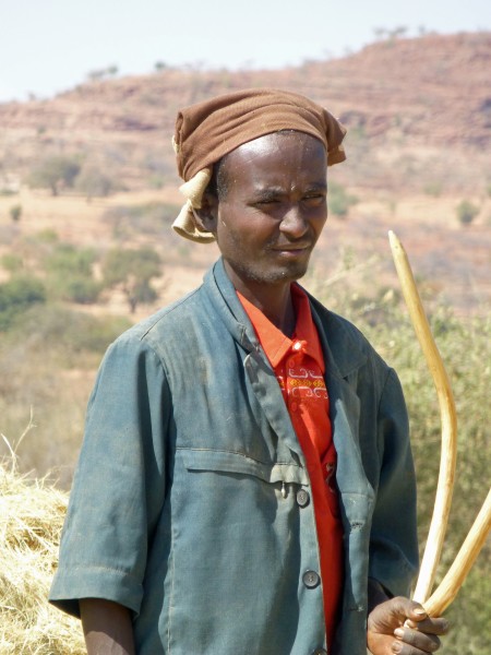 Ethiopie-Battage du teff (10)