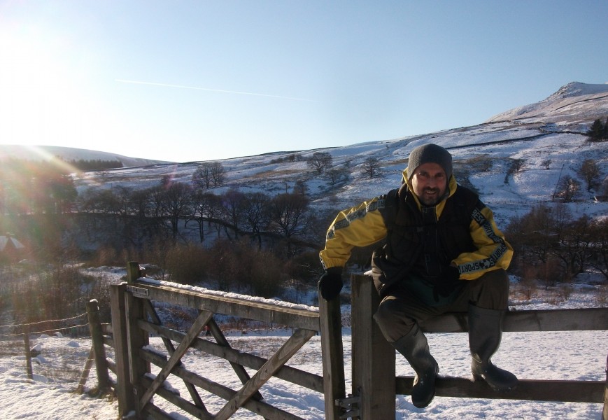 sitting on a fence in the snow
