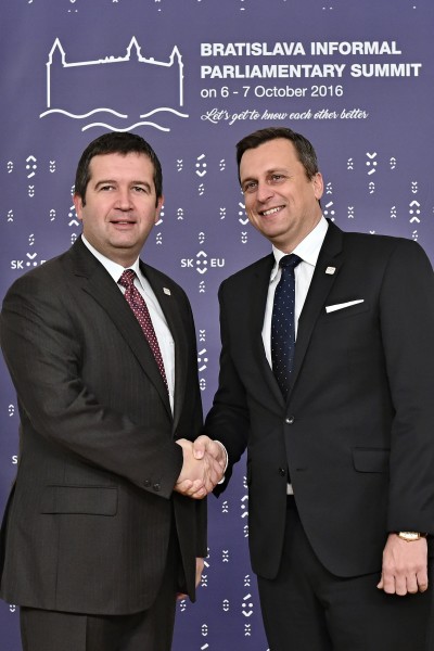 Hamacek Danko