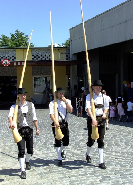 How to carry alphorns - Alphornbläser in Passau