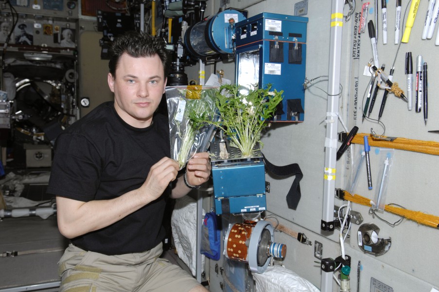 ISS-21 Roman Romanenko with a plants growth experiment in the Zvezda module
