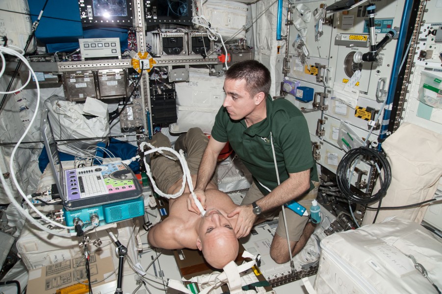 ISS-36 Luca Parmitano and Chris Cassidy in the Columbus lab