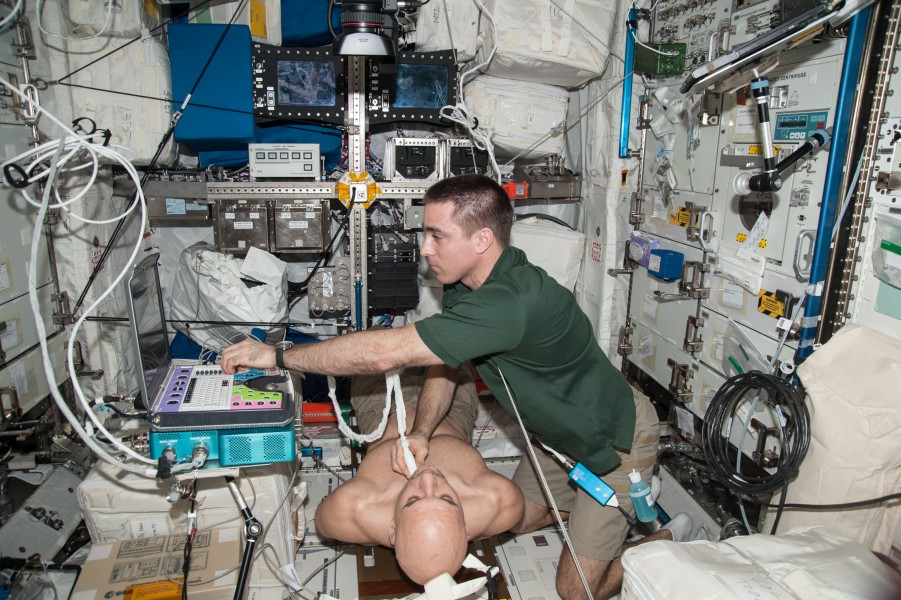 ISS-36 Luca Parmitano and Chris Cassidy in the Columbus lab 2