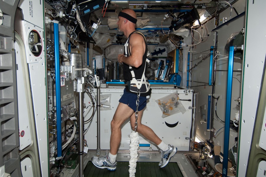ISS-36 Luca Parmitano exercises on COLBERT