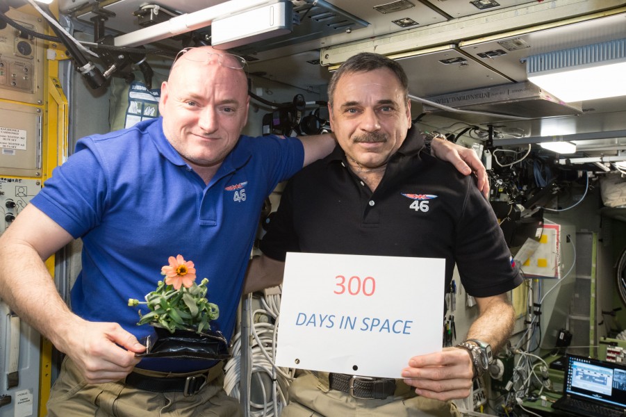 ISS-46 Scott Kelly and Mikhail Kornienko marked their 300th consecutive day in the Zvezda module