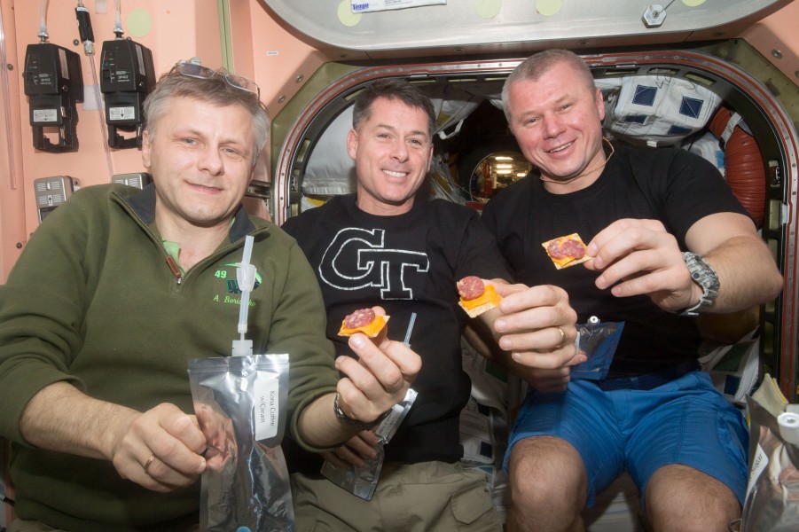 ISS-50 Andrei Borisenko, Shane Kimbrough and Oleg Novitskiy in the Unity node