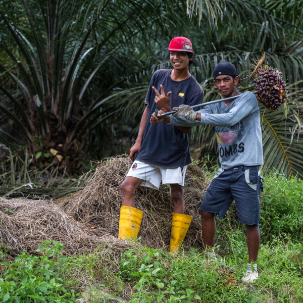 Kimanis Sabah Workers-in-Palm-Oil-Plantation-02