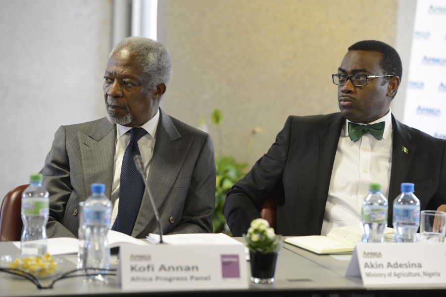 Kofi Annan & Akinwumi Adesina