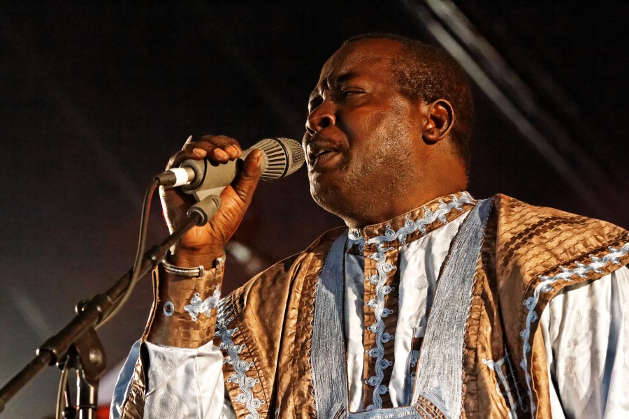 Mamar Kassey - Festival du Bout du Monde 2014 - 001