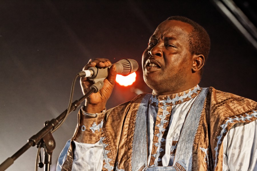Mamar Kassey - Festival du Bout du Monde 2014 - 002