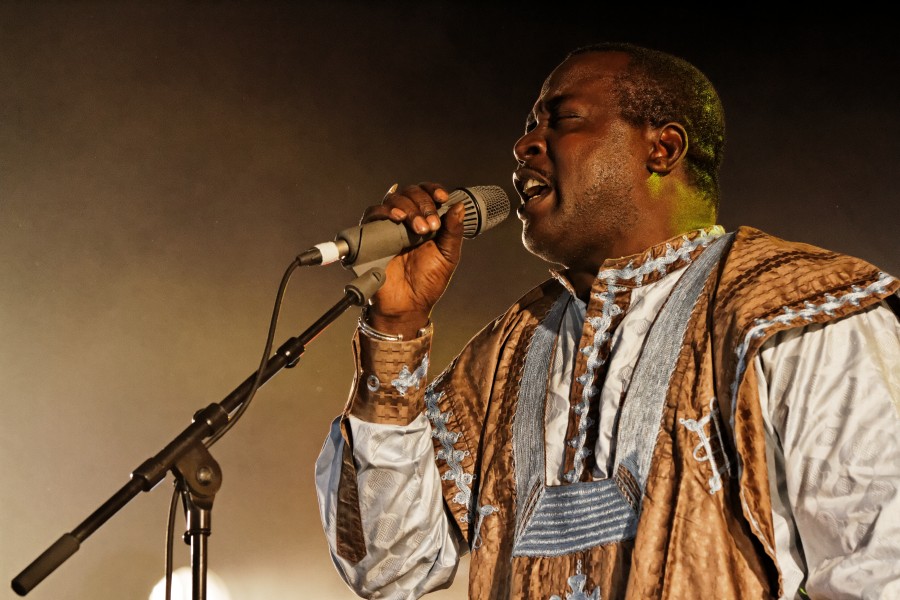 Mamar Kassey - Festival du Bout du Monde 2014 - 009