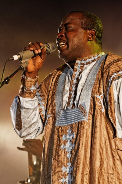 Mamar Kassey - Festival du Bout du Monde 2014 - 010