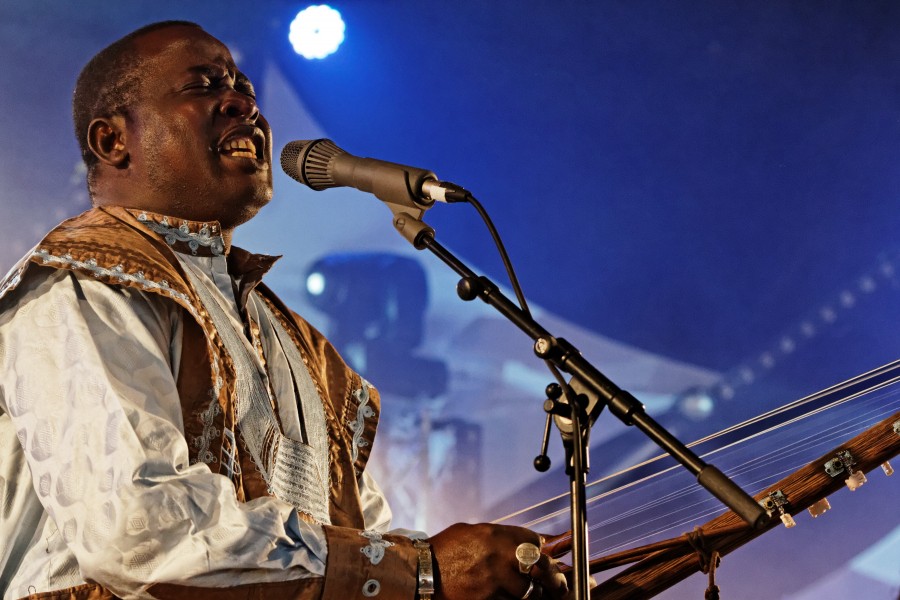 Mamar Kassey - Festival du Bout du Monde 2014 - 013