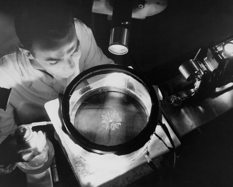 Physicist Studying Alpha Rays GPN-2000-000381