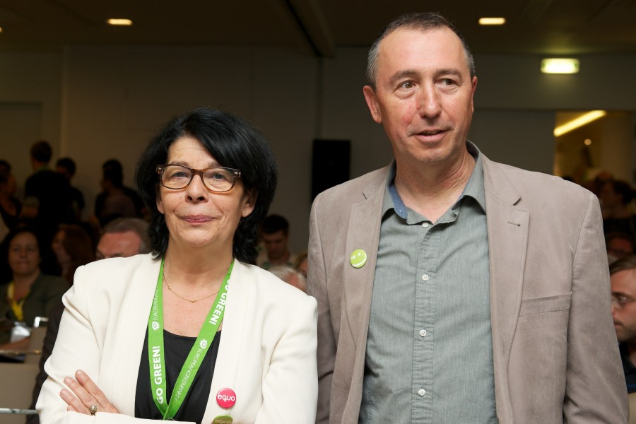 Plenario Consejo Verde Europeo