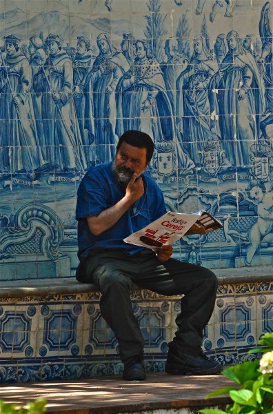 Reading (6967037483)