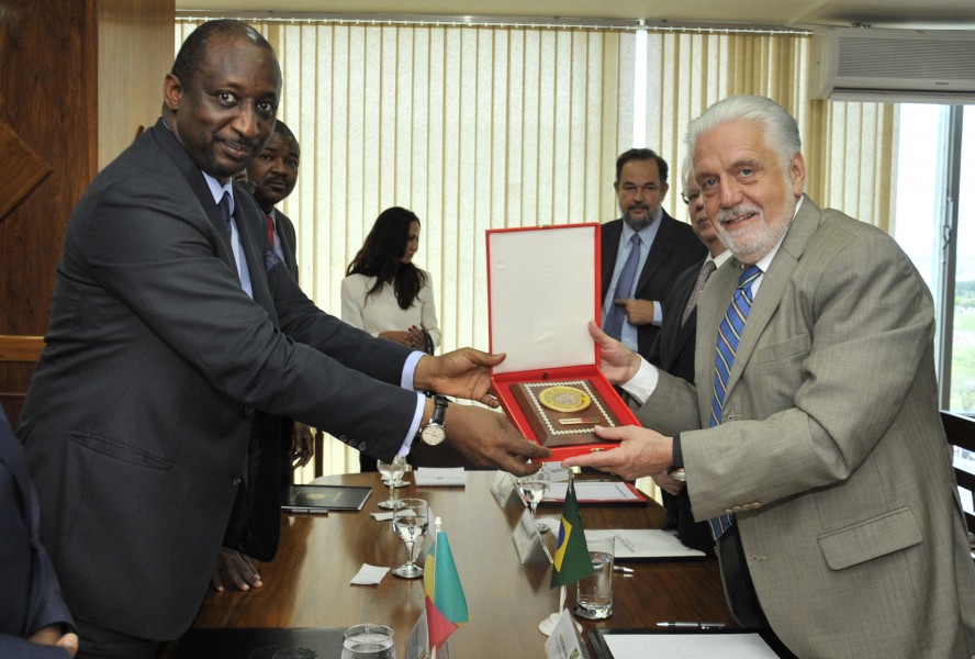 Recebe em audiência o ministro da Defesa de Mali, Tiéman Hubert Coulibaly. (16107263903)