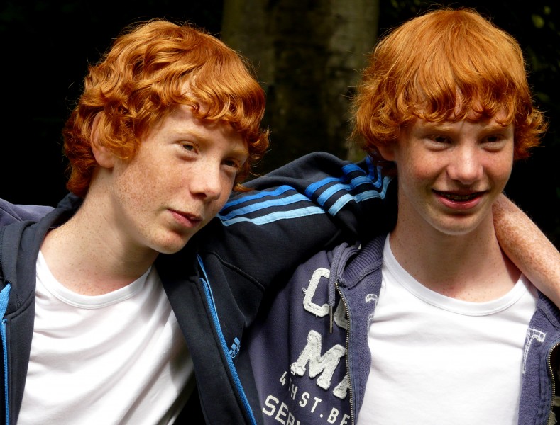 Redhead twins