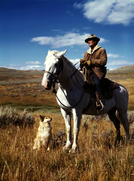 Shepherd with horse and dog, Madison County, Montana fsac.1a35022u