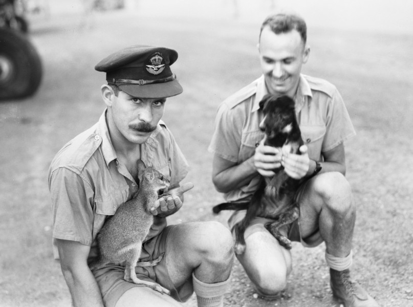 Squadron mascots, 1943 (3533058052)