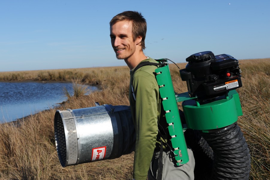 Swamp Marsh (3081950399)