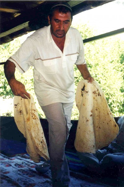 Tajikistan (516221787)